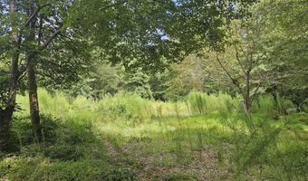 1049 Graham Pond Rd, Angier, NC 27501
