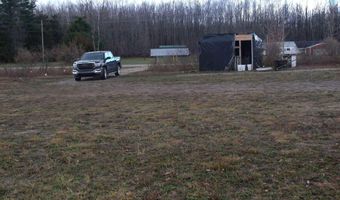 2327 McMichael Rd, Alanson, MI 49706