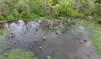 Cedar Lane, Alexander City, AL 35010