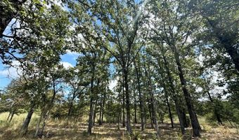 Lot 21 Rains County Rd 2610, Alba, TX 75410