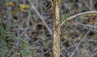 2116 Highway 84 E, Brookhaven, MS 39601