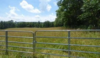 1576 Sheltontown Rd, Albany, KY 42602