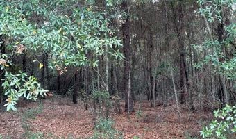 Lot 32 Marie Lane, Bainbridge, GA 39817
