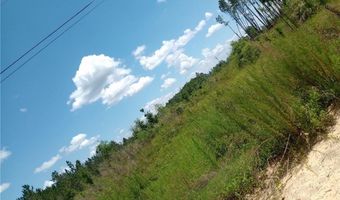 150 Kyle Stains Rd, Baxley, GA 31513