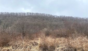 Cr-38, Alma, NY 14708