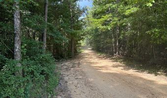 1365 Mickle Smith Trl, Bogue Chitto, MS 39629