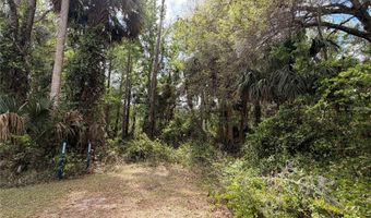 COUNTY ROAD 445A, Astor, FL 32102