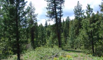 28 Rehn Loop Lot 2, Cascade, ID 83611