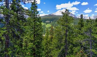 1013 RANGE Rd, Breckenridge, CO 80424
