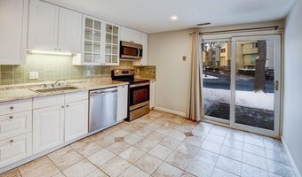 505 Tumbling Hawk 505, Acton, MA 01718