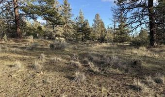 Canvasback, Bonanza, OR 97623