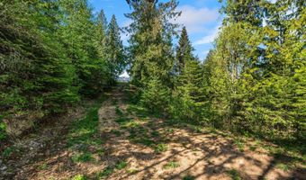 NKA Majestic Mountain Rd, Clark Fork, ID 83811
