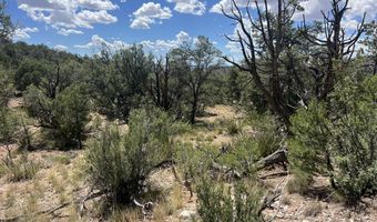 109 Of Twin Fawn Ln, Ash Fork, AZ 86320