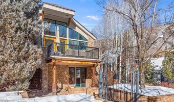 990 E Hopkins Ave, Aspen, CO 81611