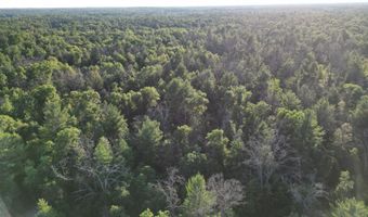 Michael Drive, Alger, MI 48610