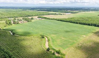 Dummyline Road, Batesville, MS 38606