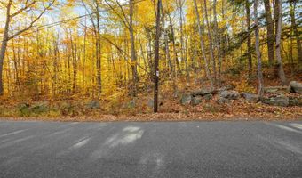 11 13/A/0 High Point Dr, Alton, NH 03810