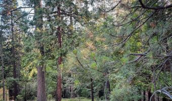 1800 Kit Carson Cir, Arnold, CA 95223