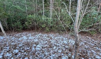 621 Round Top Rd Lot 3B, Almond, NC 28702