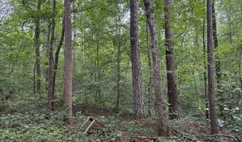 0 Carnes Chapel Rd, Attalla, AL 35954