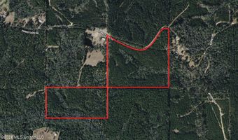259 Forest Lake Rd, Beaumont, MS 39423