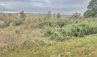 8981 Woodburn Allen Springs Rd, Alvaton, KY 42122