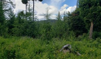 Arlee Pines lot 21, Arlee, MT 59821