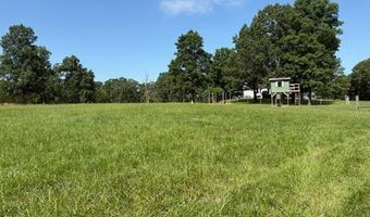 211 Vista Oak Trl, Ash Flat, AR 72513