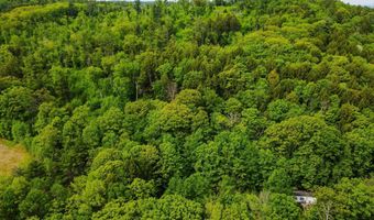 Camp Brook Road lot 67, Alstead, NH 03602