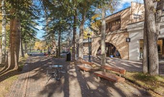 408 E Cooper Ave, Aspen, CO 81611