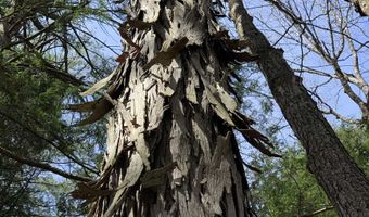 19 Shag Bark Hl, Putney, VT 05346