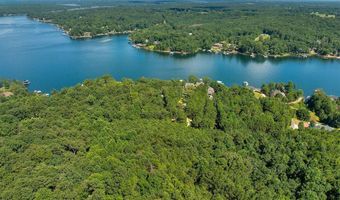 000 McCoy Pointe Dr, Arley, AL 35541