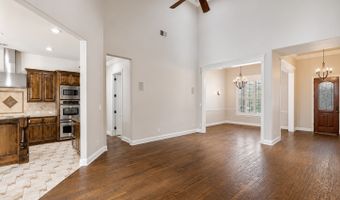 411 Brazoria Dr, Allen, TX 75013