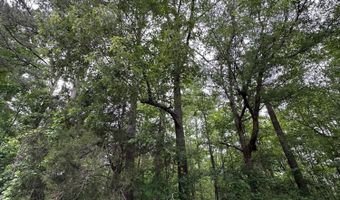 Lot 3a Elberton Highway, Lincolnton, GA 30817