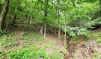 45 Sulpher Ln, Andrews, NC 28901