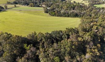 Battles Road lot 4, Ashford, AL 36312