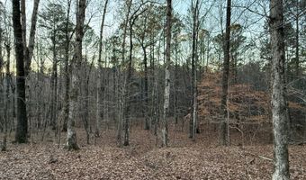 15548 Highway 15 N, Ackerman, MS 39735