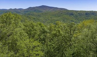 151 STONEYBROOK Rd, Amherst, VA 24521