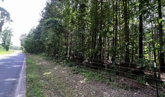 40 Acres W Miller Sardis- Lot A Rd, Bauxite, AR 72011