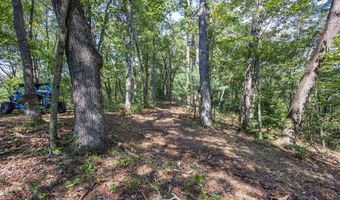 23 59 Ac Chestnut Flats Rd, Andrews, NC 28901