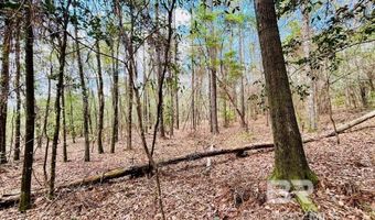 002 Phillipsville Rd, Bay Minette, AL 36507