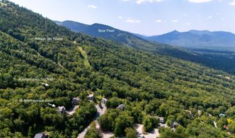46 Ammonoosuc Dr, Bartlett, NH 03812