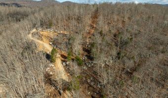 700 Acres Puncheon Creek Ln, Allred, TN 38542