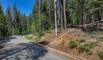 1934 Almaden Dr, Arnold, CA 95223