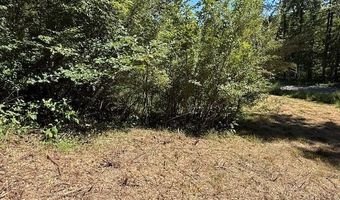 20181 N Fork River Road Lot 6 7 8, Abingdon, VA 24210