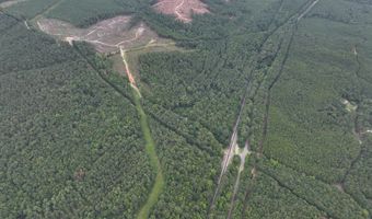 8501 Lawsontown Rd, Adger, AL 35444