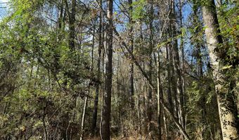 Watts Ln NW, Brookhaven, MS 39601