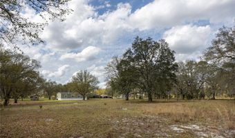 3670 NW 20TH Ave, Bell, FL 32619