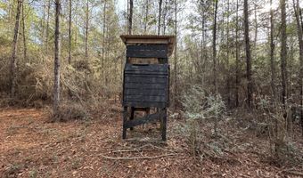 259 Forest Lake Rd, Beaumont, MS 39423
