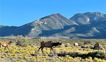 159 Eagle Nest Cir, Cold Creek, NV 89124